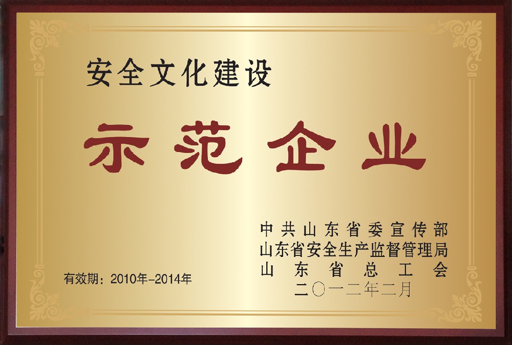山東省安全文化建設示范企業(yè)